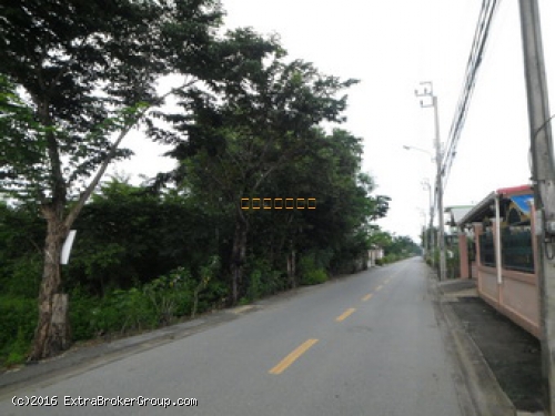 ที่ดิน เนื้อที่ 146.8 ตรว. พุทธมณฑลสาย3 แยก17 เหมาะปลูกบ้าน สร้างร้านค้าต่างๆ 