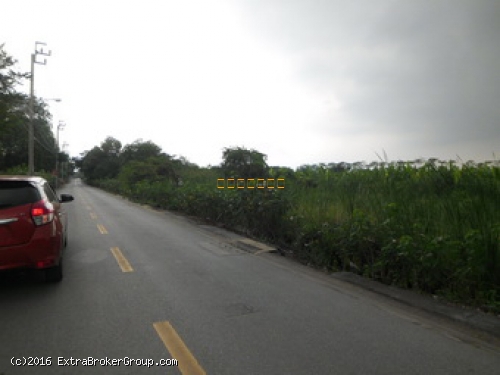 ที่ดิน เนื้อที่ 146.8 ตรว. พุทธมณฑลสาย3 แยก17 เหมาะปลูกบ้าน สร้างร้านค้าต่างๆ 