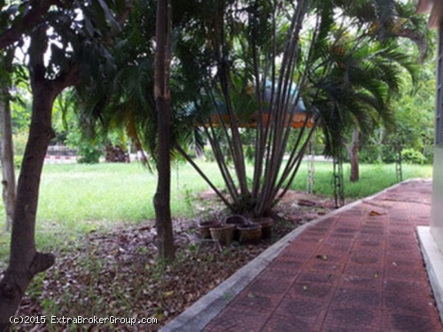 บ้านเดี่ยว 376 ตรว. ม.ล้วนพฤกษา เทพารักษ์96 หลังมุม ติดถนนเมน บรรยากาศร่มรื่น 