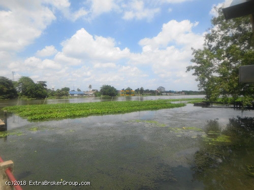 ที่ดินติดแม่น้ำใหญ่ เนื้อที่ 11 ไร่ สามพราน นครชัยศรี ฮวงจุ้ยดีหัวมังกร มีที่ดินงอก 