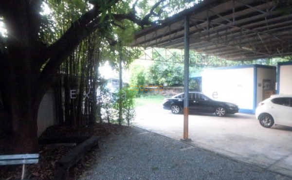 ให้เช่า ตึกเดี่ยว 3ชั้น ทำสำนักงาน 100ตรว. ปิ่นเกล้า บรมราชชนนี 