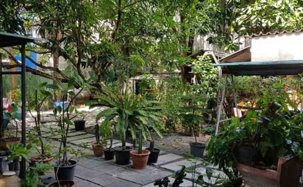 ขายตึก 2 ชั้น 1 หลัง พร้อมกึ่งร้านอาหาร 1.5 ชั้น 1 หลัง 217 วา. ซ.บรมราชชนนี 74 ขนาดที่ดิน 30x28 ม.