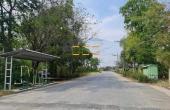 p0239, ขายที่ดิน 490ตรว.เพชรเกษม -นครชัยศรี