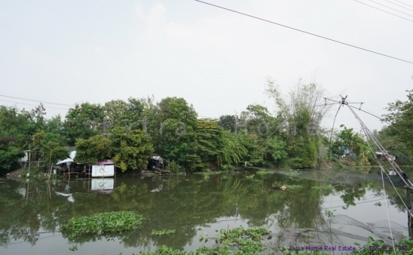 ขายที่ดิน 376ตรว. ติดริมน้ำ มหาสวัสดิ์ เขตทวีวัฒนา