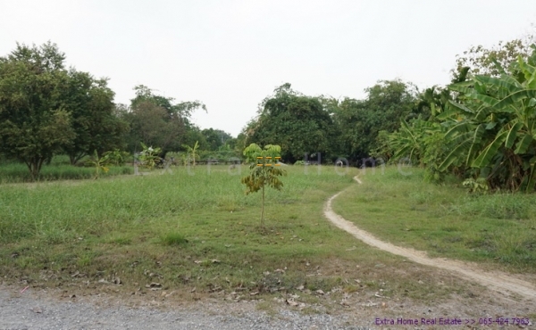 ขายที่ดิน 376ตรว. ติดริมน้ำ มหาสวัสดิ์ เขตทวีวัฒนา