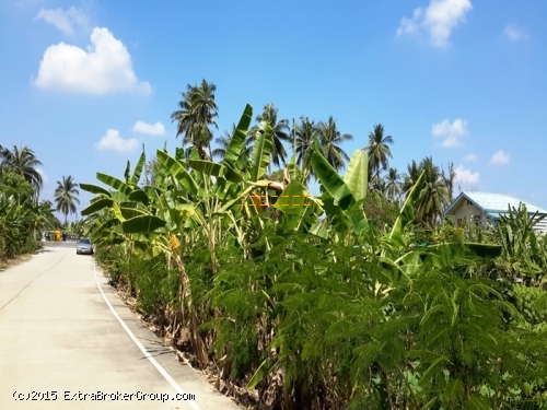 ที่ดิน 429 ตรว. บางใหญ่ นนทบุรี เหมาะทำโกดัง – สำนักงาน   อนาคตดี ถนนใหญ่ตัดผ่าน 